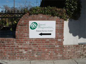 Quest Wall Graphic